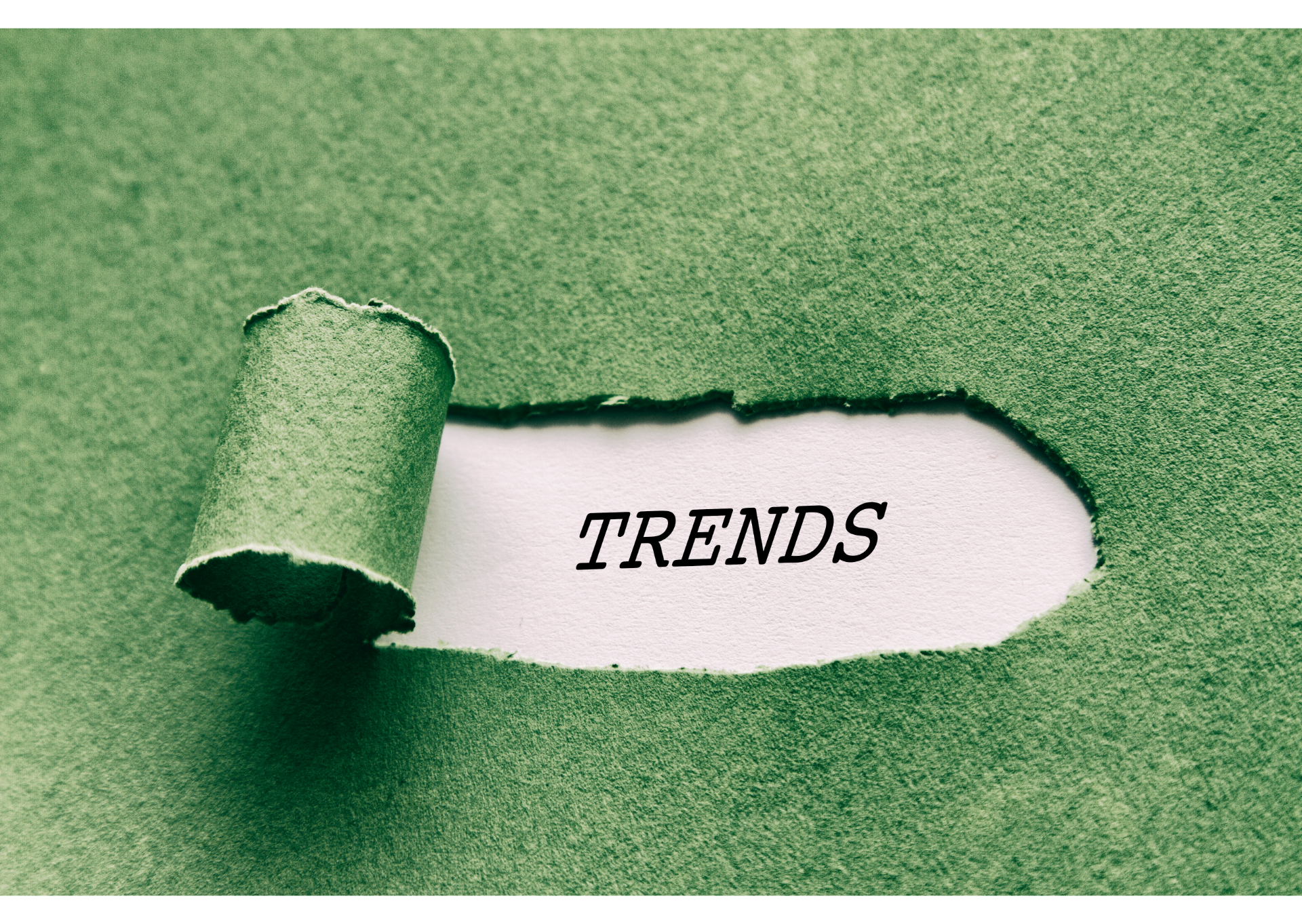 AP 2022 BIG Trends: ePayments Rapid Expansion, Cash Remains King, and AP Gets Holistic